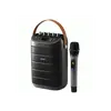 კარაოკე დინამიკი Edifier PK305  - Primestore.ge