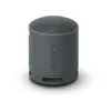 დინამიკი Sony SRS-XB100/BCE - Black  - Primestore.ge