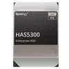 მყარი დისკი Synology HAS5300-12T HDD 12TB  - Primestore.ge