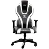 სათამაშო სავარძელი E-BLUE Auroza gaming chair – WHITE (EEC410BWAA-IA)  - Primestore.ge