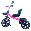 საბავშვო სამთვალა ველოსიპედი 209PINK  - Primestore.ge