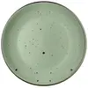 თეფში Ardesto AR2926GGC Dinner plate Bagheria, 26 сm, Ceramics Pastel Green  - Primestore.ge