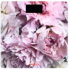 სასწორი Ardesto Scales SCB-965PEONIES  - Primestore.ge