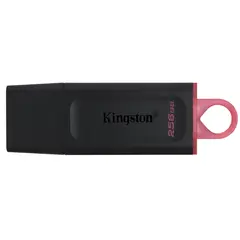USB ფლეშ მეხსიერება kingston DTX 256GB USB3.2 Gen 1 DataTraveler Exodia  - Primestore.ge