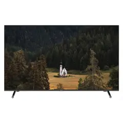 ტელევიზორი SUNNY 65'' (SN65FIL252)  - Primestore.ge