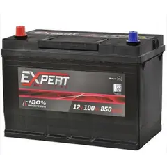 აკუმულატორი EXPERT 100 ა*ს მარჯ.  - Primestore.ge