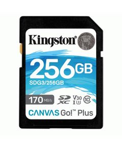 მეხსიერების ბარათი kingston SDG3/256GB SDXC Go Plus 170R V30  - Primestore.ge
