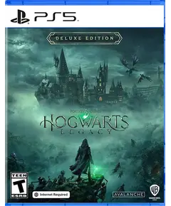 ვიდეო თამაში Game for PS5 Hogwarts Legacy  - Primestore.ge