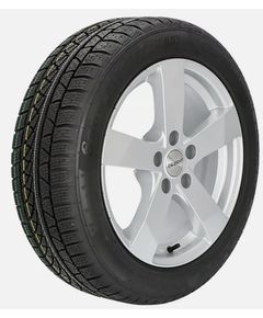 Tire PETLAS 245/45R19 W651