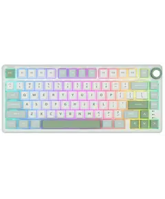 Royal Kludge RK R75 RGB Mechanical Keyboard, Brown switch, Hot Swappable, Type-C wired, Sky Cyan