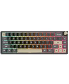 Royal Kludge RK R65 RGB Mechanical Keyboard, Brown switch, Hot Swappable, Type-C wired, Phantom