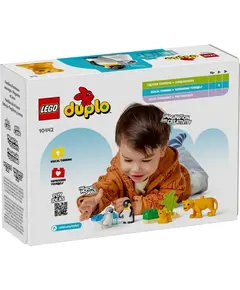 ლეგო LEGO Constructor Wild Animal Families: Penguins & Lions  - Primestore.ge