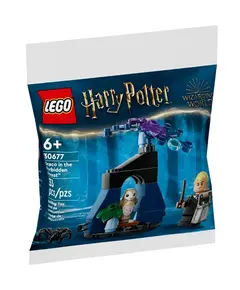 ლეგო LEGO recruitment Harry Potter Draco in the Forbidden Forest  - Primestore.ge