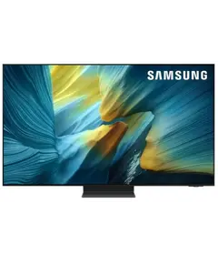 ტელევიზორი SAMSUNG QE55S95FAUXRU - Primestore.ge