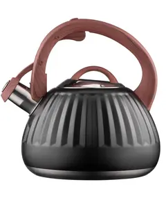 ჩაიდანი ARDESTO Gemini, 2.5l, stainless steel, black 674012410388 - Primestore.ge