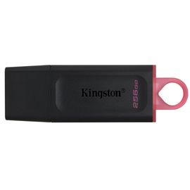 USB ფლეშ მეხსიერება kingston DTX 256GB USB3.2 Gen 1 DataTraveler Exodia  - Primestore.ge