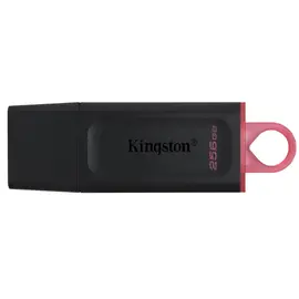 USB flash memory Kingston DTX 256GB USB3.2 Gen 1 DataTraveler Exodia