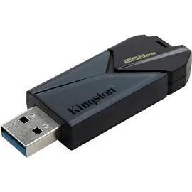 Flash memory KINGSTON DTXON/256GB DATATRAVELER EXODIA ONYX (256 GB)