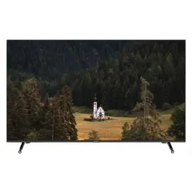 ტელევიზორი SUNNY 65'' (SN65FIL252) - Primestore.ge