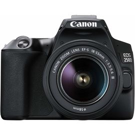 ციფრული ფოტოაპარატი Canon EOS 250D Black + Lens EF-S 18-55 IS STM  - Primestore.ge
