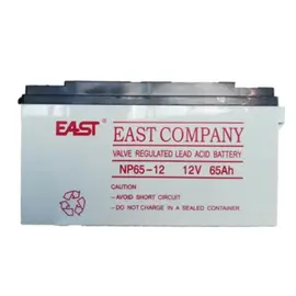 Accumulator EAST NP65-12 12V/65Ah UPS battery