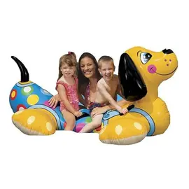 Inflatable camera intex 56556