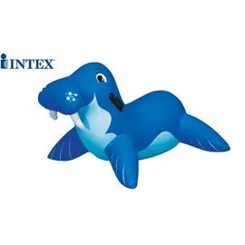 Swimming accessory INTEX 56554