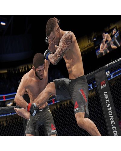 ვიდეო თამაში Game for PS4 UFC 4 , 3 image - Primestore.ge
