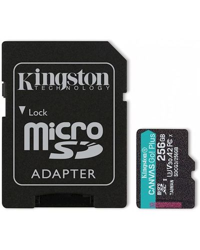 Memory card Kingston SDCG3/256GB