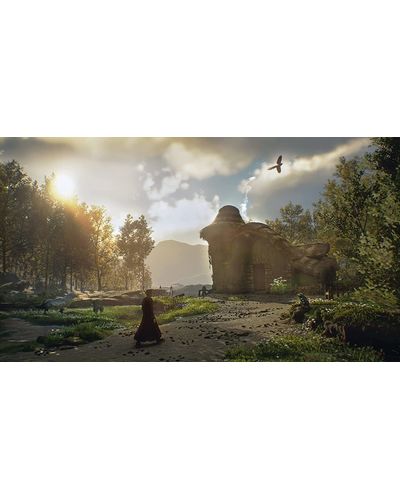 Video Game Sony PS4 Game Hogwarts Legacy, 9 image
