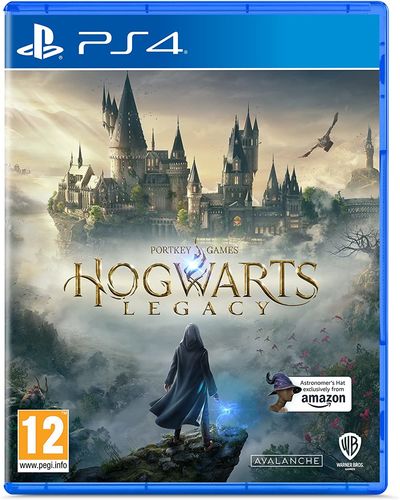 Video Game Sony PS4 Game Hogwarts Legacy