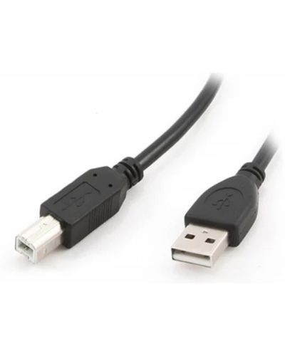 კაბელი Gembird CCP-USB2-AMBM-10 USB Cable for Printer 3m , 2 image - Primestore.ge