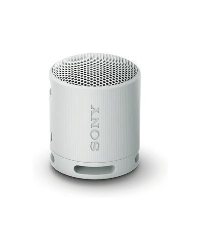 Speaker SONY PORTABLE SPEAKER Gray (SRS-XB100/HCE), 3 image