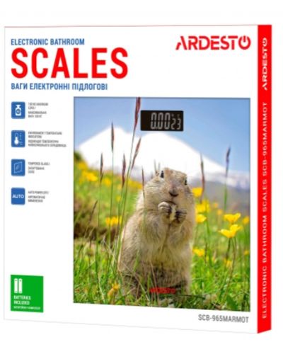 სასწორი Ardesto Scales for floor MARMOT, 150кг, 2хААА included, glass, multi-colored , 5 image - Primestore.ge