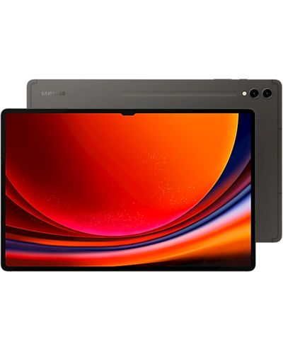 Tablet SAMSUNG Tab S9 Ultra 5G/SM-X916BZAACAU