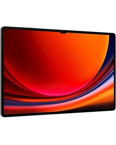 Tablet SAMSUNG Tab S9 Ultra 5G/SM-X916BZAACAU, 2 image