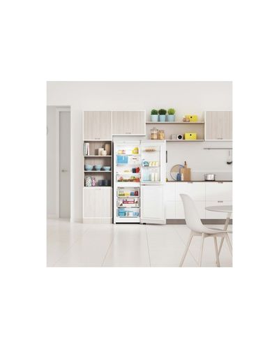 Refrigerator INDESIT ITS 4160 W, 7 image