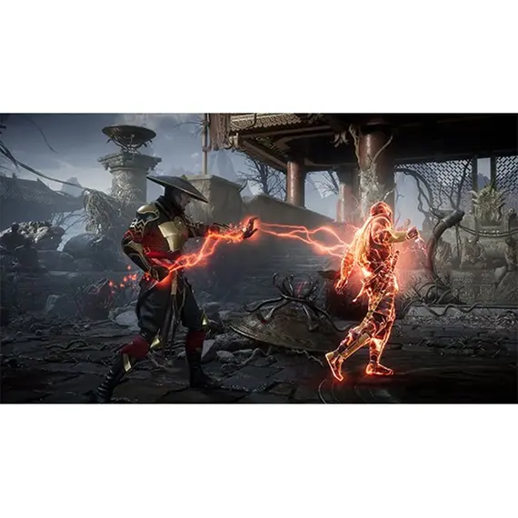 ვიდეო თამაში Game for PS4 Mortal Kombat 11 , 2 image - Primestore.ge