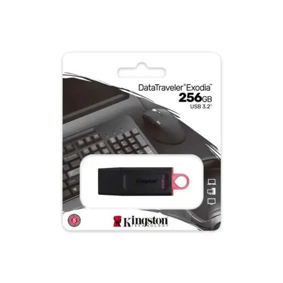 USB ფლეშ მეხსიერება kingston DTXM 256GB DTXM/256GB , 2 image - Primestore.ge
