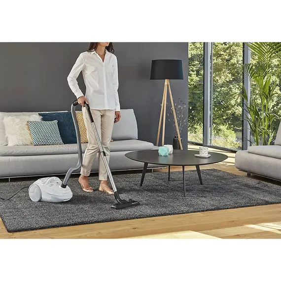 მტვერსასრუტი ROWENTA RO3927EA , 3 image - Primestore.ge