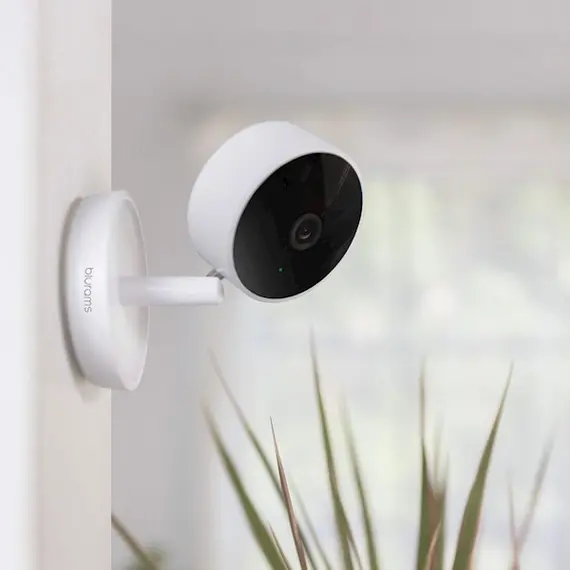 ვიდეო სათვალთვალო კამერა Blurams A10C Home Pro 1080p Night Vision WiFi iOS, Android Alexa Google Assistant , 4 image - Primestore.ge