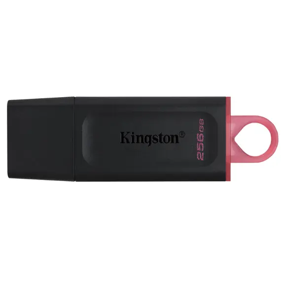 USB ფლეშ მეხსიერება kingston DTX 256GB USB3.2 Gen 1 DataTraveler Exodia  - Primestore.ge