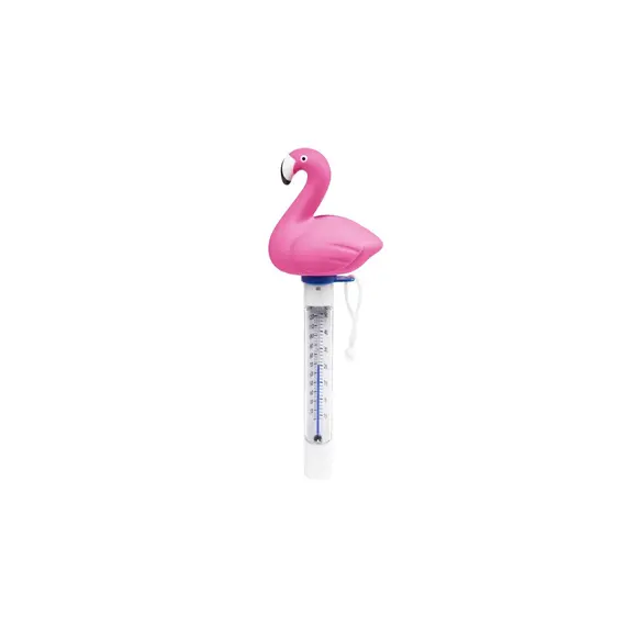 აუზის თერმომეტრი Bestway 58595 , 2 image - Primestore.ge