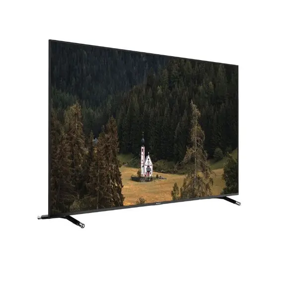ტელევიზორი SUNNY 65'' (SN65FIL252) , 2 image - Primestore.ge