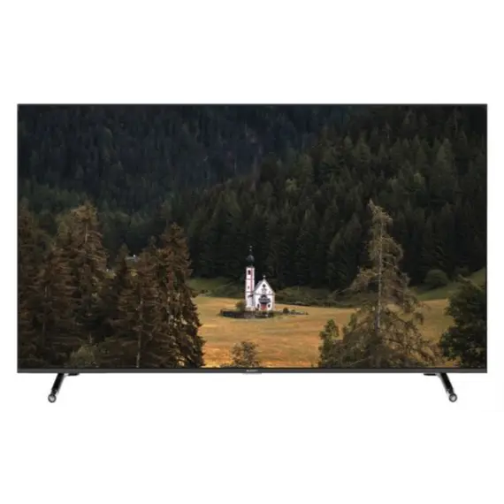 ტელევიზორი SUNNY 65'' (SN65FIL252)  - Primestore.ge