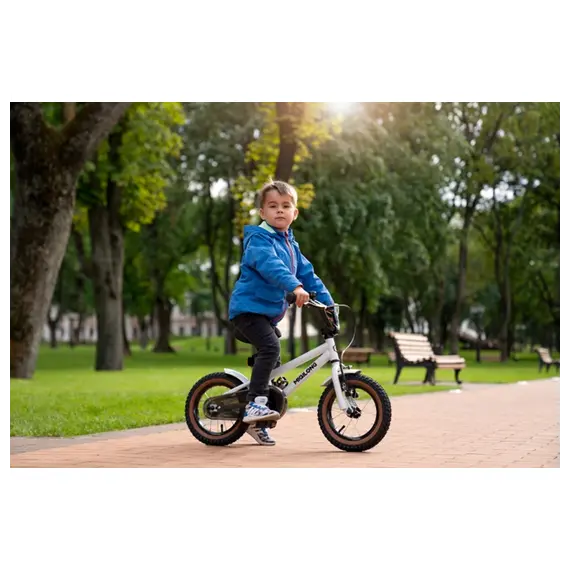 საბავშვო ველოსიპედი Miqilong Bicycle BS 12" Silver , 4 image - Primestore.ge