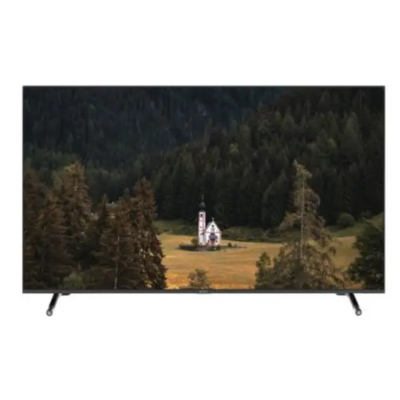 ტელევიზორი SUNNY SN50FIL252/0276  - Primestore.ge