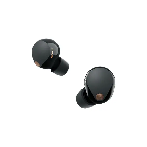 Headphone Sony WF1000XM5 Wireless Noise Canceling In-Ear Black (WF1000XM5B.E), 3 image