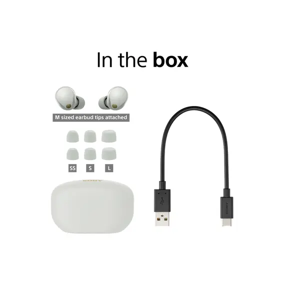 ყურსასმენი Sony WF1000XM5 Wireless Noise Cancelling In-Ear Silver (WF1000XM5S.E) - Primestore.ge