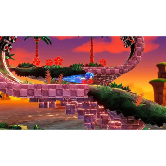 ვიდეო თამაში Sony PS4 Game Sonic Superstars , 3 image - Primestore.ge